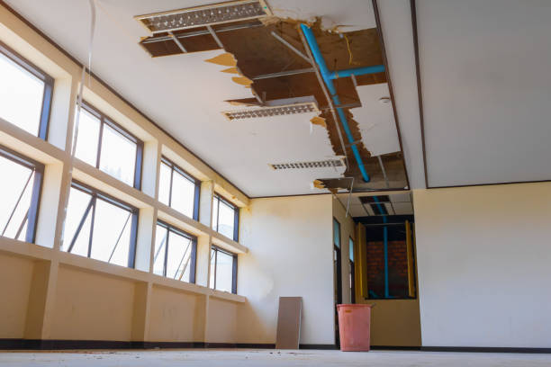 Best Water damage restoration near me  in Harlem, GA