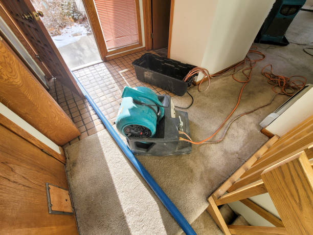 Best Carpet water damage restoration  in Harlem, GA