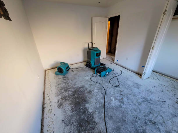 Trusted Harlem, GA Water damage restoration Experts