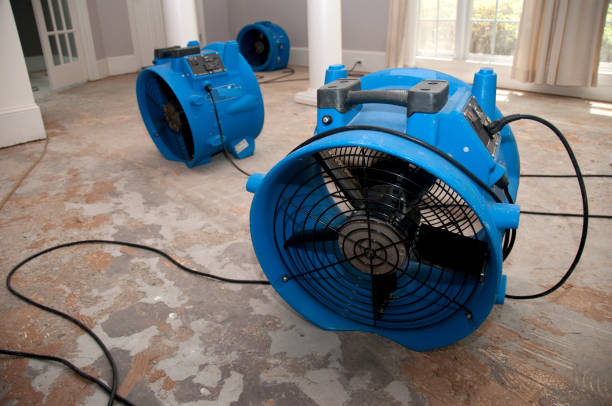 Best Commercial water damage restoration  in Harlem, GA