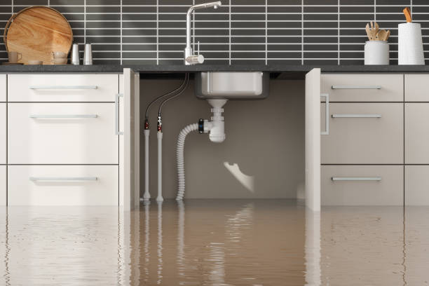 Best Water damage repair service  in Harlem, GA