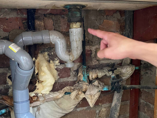 Best Water damage restoration insurance claims  in Harlem, GA