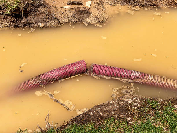 Best Local water damage restoration  in Harlem, GA