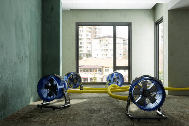 Best Water damage restoration mold remediation  in Harlem, GA